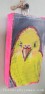 Parakeet 1