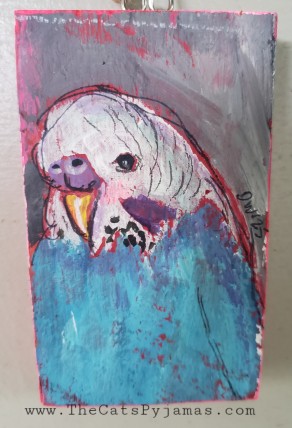 Parakeet 2