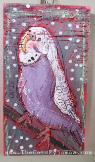 Parakeet  4