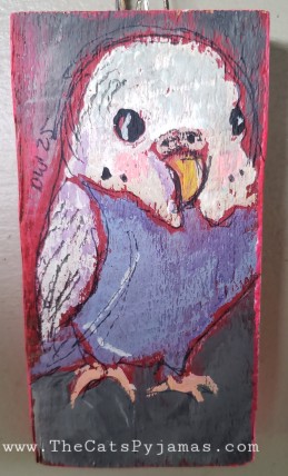 Parakeet 6