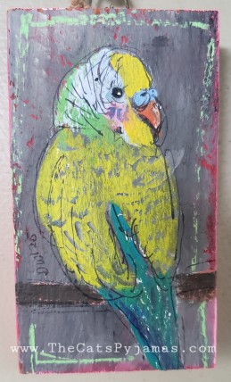 Parakeet 8