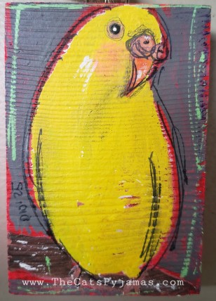 Parakeet 10