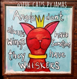 Whiskers Whiskers