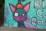 Black Cat Society