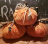 Repurposed Pumpkins