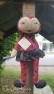 Ladybug