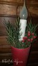 Christmas Candle