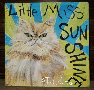 Little Miss Sunshine Little Miss Sunshine