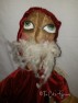 Sideways Santa