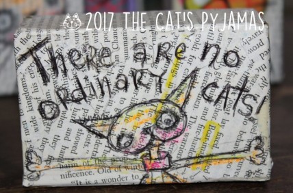 No Ordinary Cats No Ordinary Cats